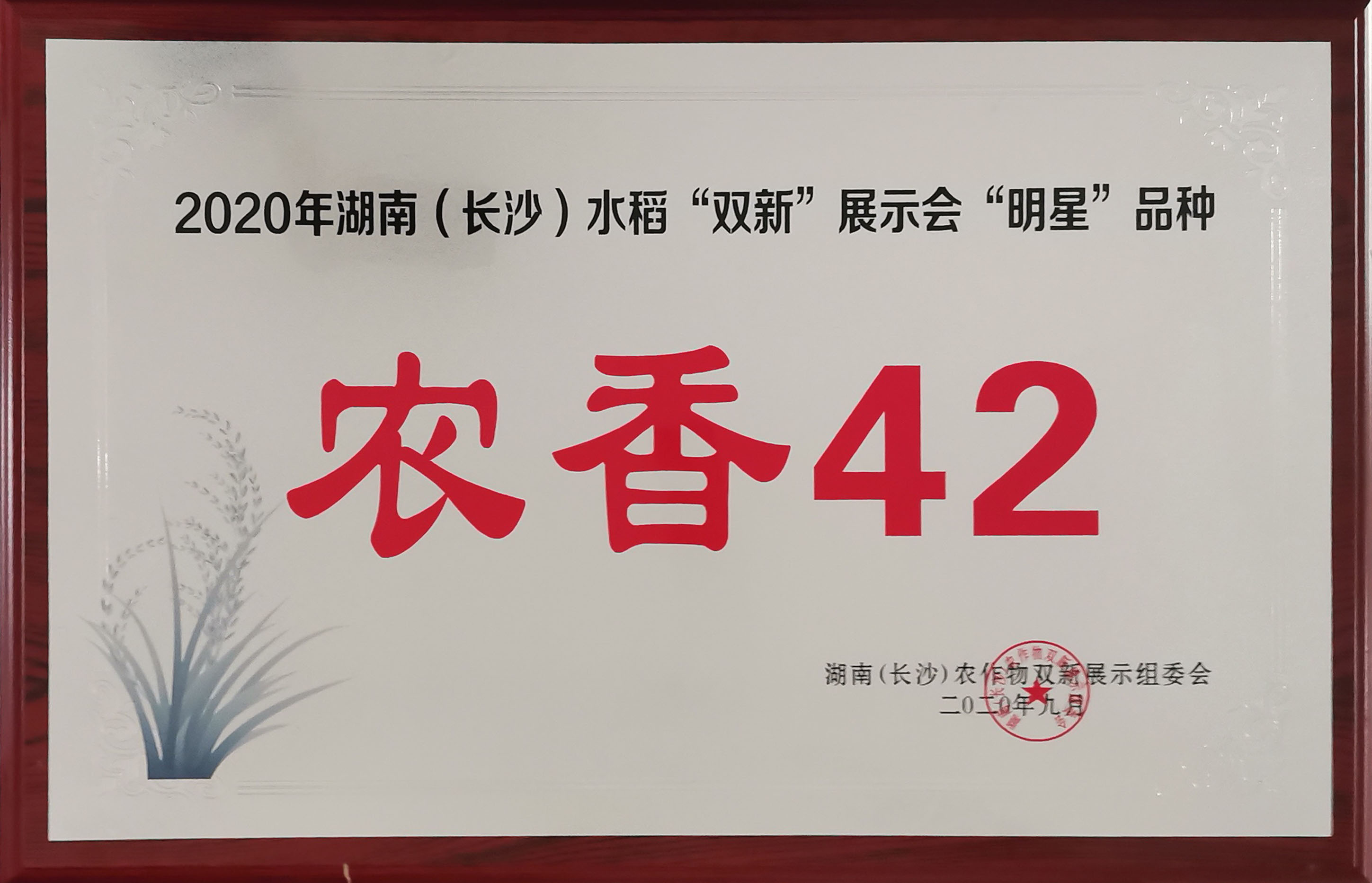 2020年湖南(nán)（長沙）水稻“雙新(xīn)”展示會“明星”品種（農(nóng)香42）